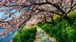 0402jtt6-0787-86x48.jpg