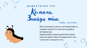 Дидактична гра «Знайди тінь. Комахи»