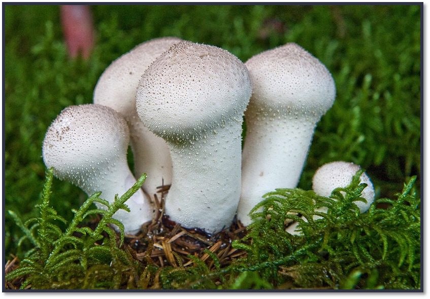 0402jvm5-3f81-847x590.png