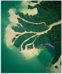 0402jvmx-e9a8-218x261.png