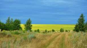 А в селі як у селі:  Вила, заступ...мозолі...