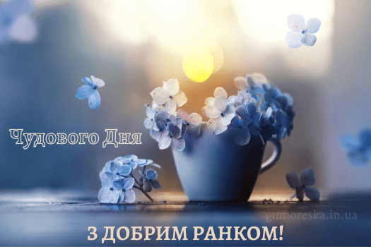 0402jxo7-7809-525x350.png
