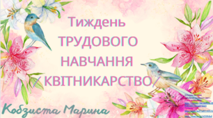 План проведення тижня  трудового  навчання1
