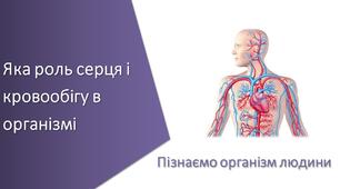 Презентація "Яка роль серця і кровообігу в організмі"