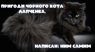 Пригоди чорного кота Лапченка, описані ним самим