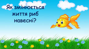 Як змінюється життя риб навесні?