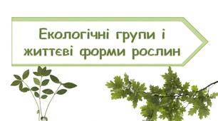 Презентація на тему "Екологічні групи та життєві форми рослин"
