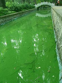 0402k561-0f29-220x293.jpg