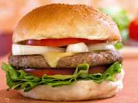 One Hamburger Environment Resources