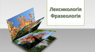 Контрольна робота "Лексикологія і фразеологія української мови" 
