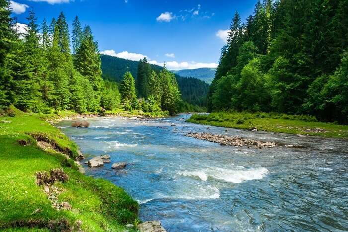 15 Rivers Of The World: Explore The Scenic & Beautiful Nature