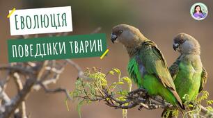 Еволюція поведінки тварин,її пристосувальне значення.