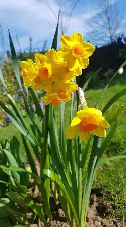 Нет описания фото.