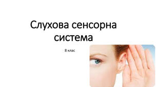 Б8 Слухова сенсорна система