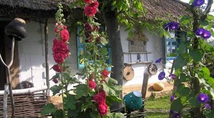 Старенька хата