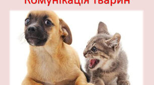 Типи угруповань тварин та комунікація. 7 кл