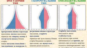 Практична робота №11 Аналіз статево-вікових пірамід України та окремих країн світу