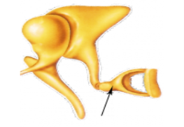 0402kco2-8f55-263x182.png