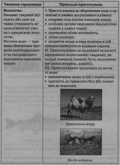 0402kfdu-12bb-400x549.jpg