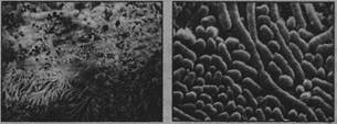 0402kfdy-1d68-305x113.jpg