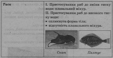 0402kfdz-4fe9-396x203.jpg