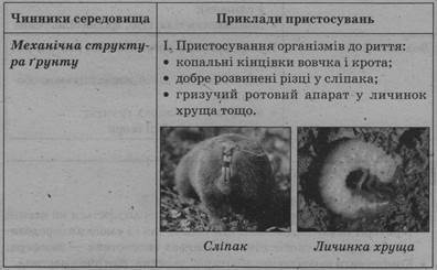 0402kfe0-fd83-396x245.jpg
