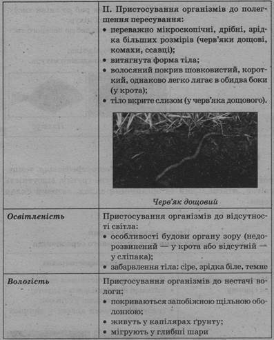 0402kfe2-94e8-397x493.jpg