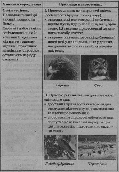 0402kfe3-a5ed-393x569.jpg