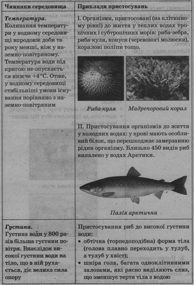 0402kfe4-edeb-396x581.jpg
