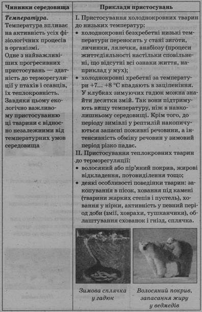 0402kfe5-cd63-396x612.jpg