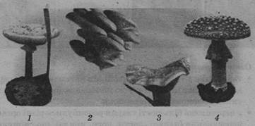 0402kfra-fda9-361x179.jpg