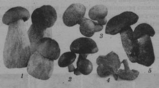 0402kfrc-c607-315x176.jpg