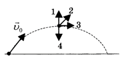 0402kfsf-de41-247x128.png