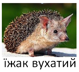 0402kh86-1d34-377x346.png