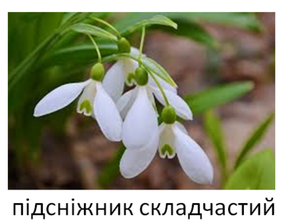 0402kh8u-d7e7-397x313.png