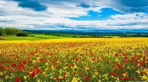 Людина і природа України (1 частина)