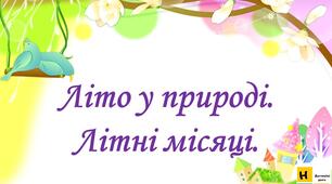Презентація Жаркова ЯДС 2 клас  урок 84   Літо у природі. Літні місяці.  автор підручника Жаркова (для очного та дистанційного навчання )