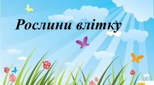 Презентація Жаркова ЯДС 2 клас   урок 86 Рослини влітку   (для очного та дистанційного навчання )