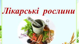 Презентація Жаркова 2 клас  ЯДС урок 87  Лікарські  рослини  (для очного та дистанційного навчання )