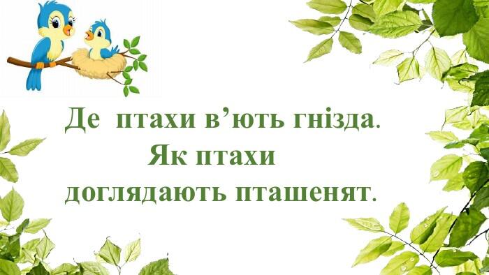 Де птахи в’ють гнізда. Як птахи доглядають пташенят.
