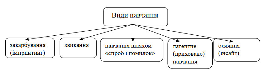 0402ksxf-2237-845x227.png