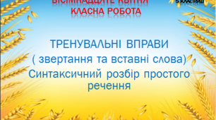 Презентація "Тренувальні вправи (Звертання, вставні слова). Синтаксичний розбір речення.