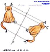 0402kvv7-82fe-172x178.jpg