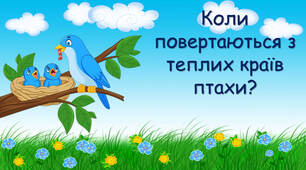 Які птахи повертаються навесні?