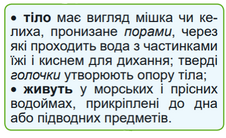 0402kzok-7d17-226x138.png