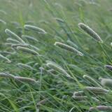 0402l10c-5c45-160x160.jpg
