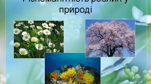 Різноманітність організмів. 5 клас НУШ