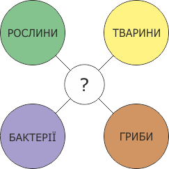 Подпись отсутствует