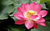 0402l6d1-1622-177x110.jpg