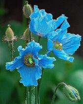 0402l6dn-6ea3-169x210.jpg